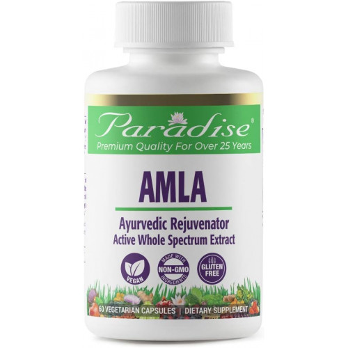 Paradise Herbs Органічний екстракт амли з вітаміном С, аюрведичний омолоджуючий засіб, без глютену, без ГМО, веганський, 60 капсул