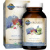 Garden of Life Organics Whole Food Multivitamin для чоловіків, 120 таблеток, веганські чоловічі вітаміни та мінерали для здоров’я та благополуччя чоловіків, сертифікований органічний веганський чоловічий мультивітамін Garden of Life Organics Whole Food Multivitamin для чоловіків, 120 таблеток, веганські чоловічі вітаміни та мінерали для здоров’я та благополуччя чоловіків, сертифікований органічний веганський чоловічий мультивітамін