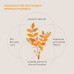 Екстракт ладану (Boswellia Serrata) 500 мг Kurkraft - 180 капсул