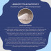 Пропіонова кислота 500 мг True Nature® 180 капсул Пропіонова кислота 500 мг True Nature® 180 капсул