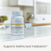 Berberine 500 мг Integrative Therapeutics 60 капсул Berberine 500 мг Integrative Therapeutics 60 капсул